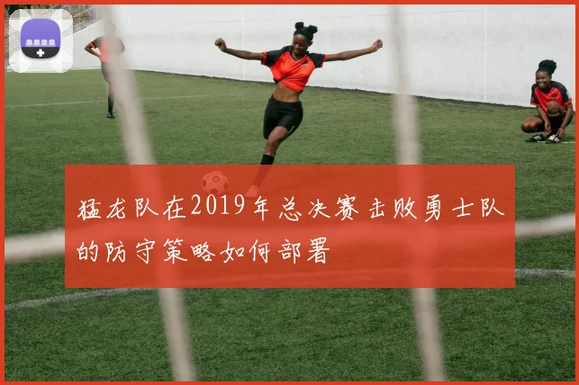 猛龙队在2019年总决赛击败勇士队的防守策略如何部署