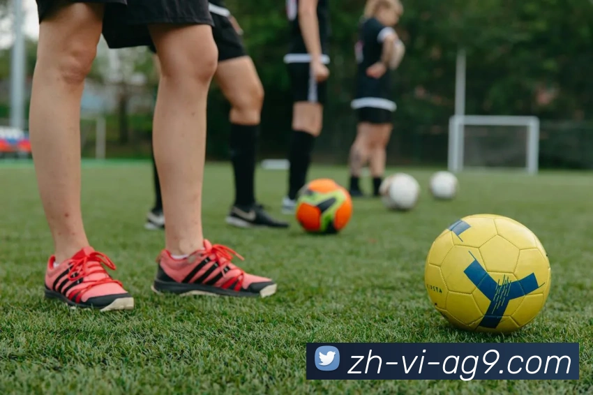 ag9游会平台生态图