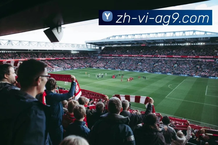 ag9游会APP 封面图