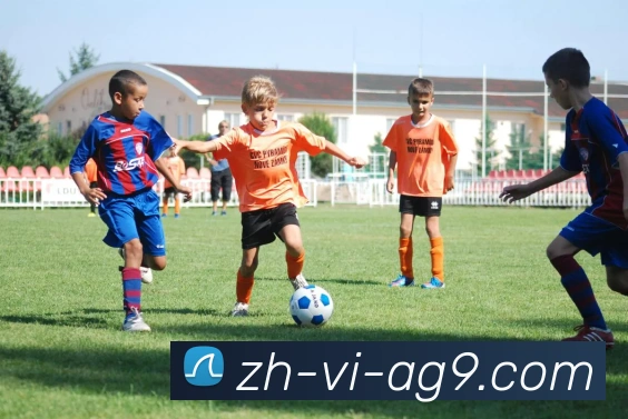 数据防护可视化